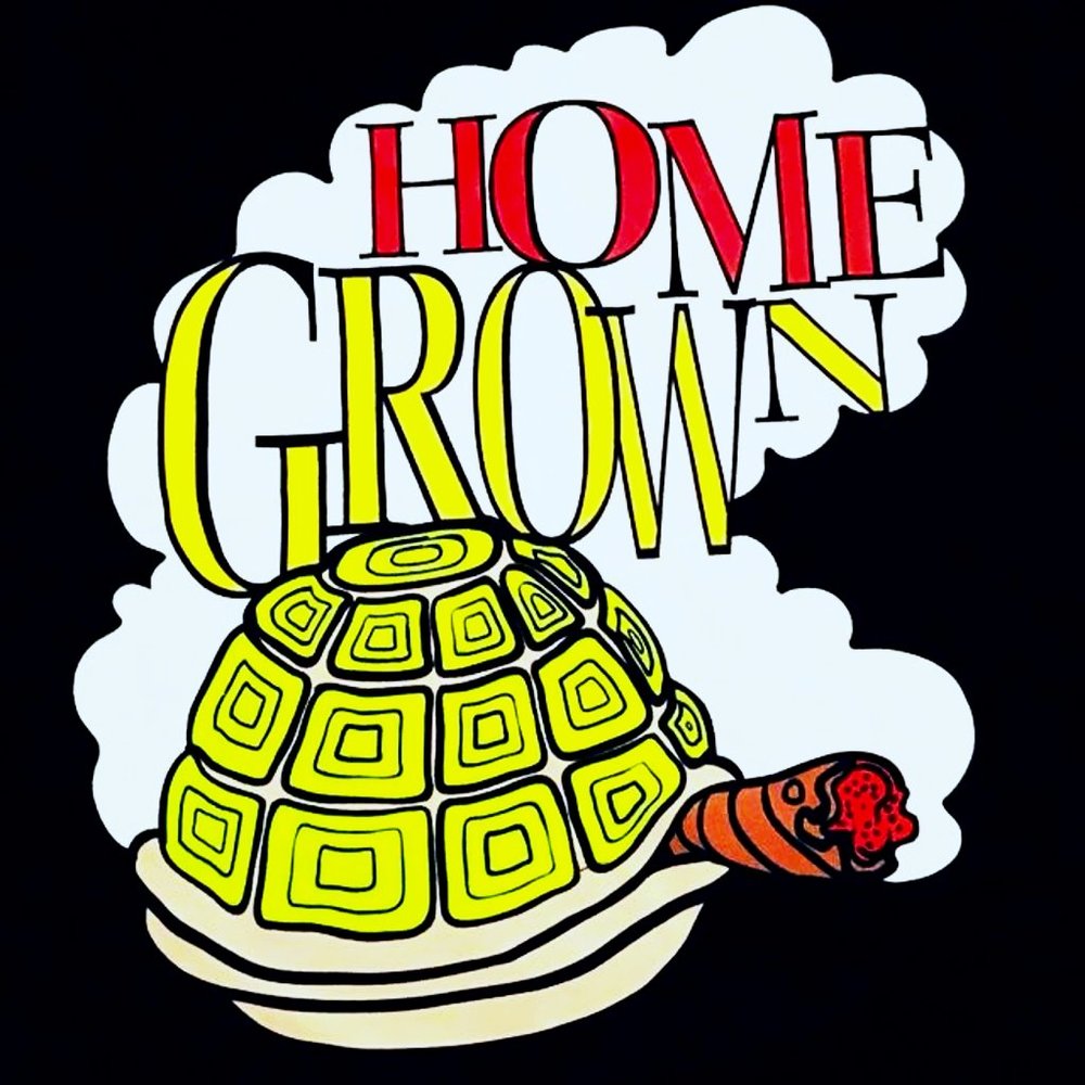 MEN'S RAW BLUE SWAGNIFICENT TEE SHIRT MENS SIZE 2XL HOME GROWN TURTLE TSHIRT XXL